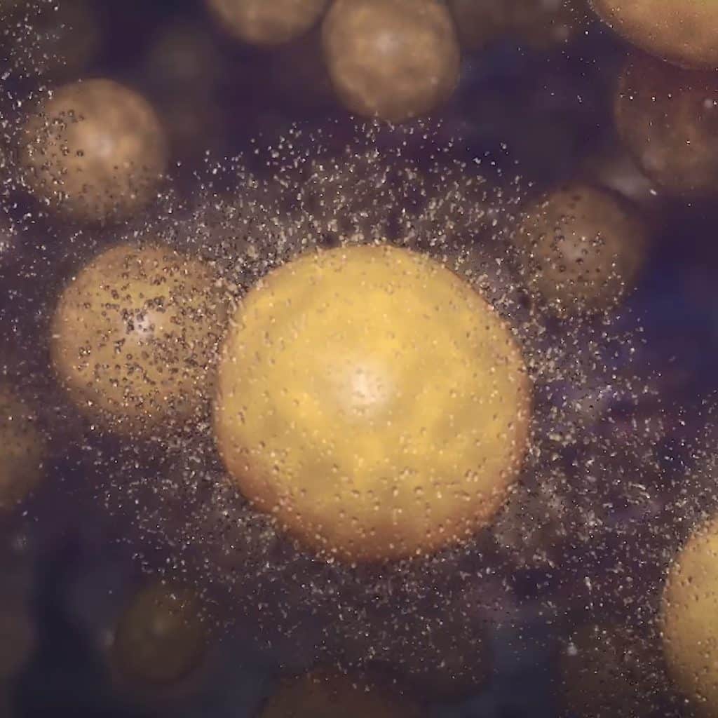 Fat cells are exploding's