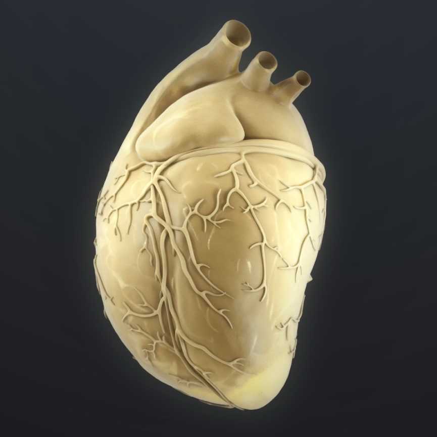 Plastic heart