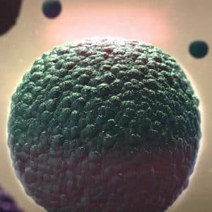 3D Animation of pigment