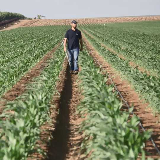 Farmer walking in his field