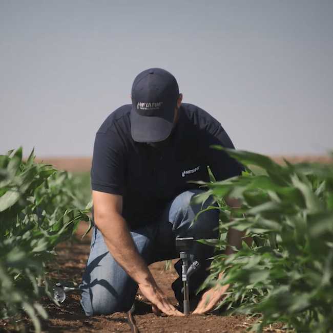 Farmer in field